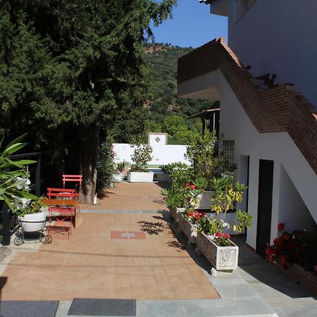 Apartamento Guadiaro 3 Ainhoa Benaojan Exterior photo